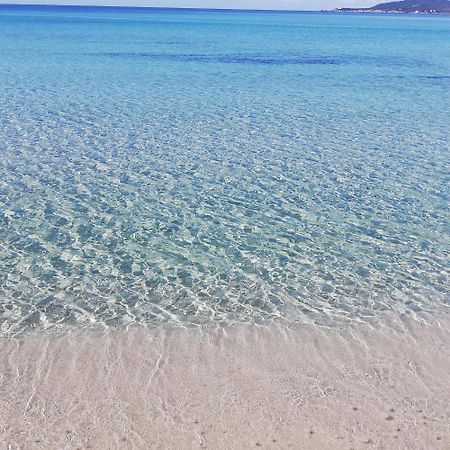 L'Anfora Acomodação com café da manhã Alghero Quarto foto