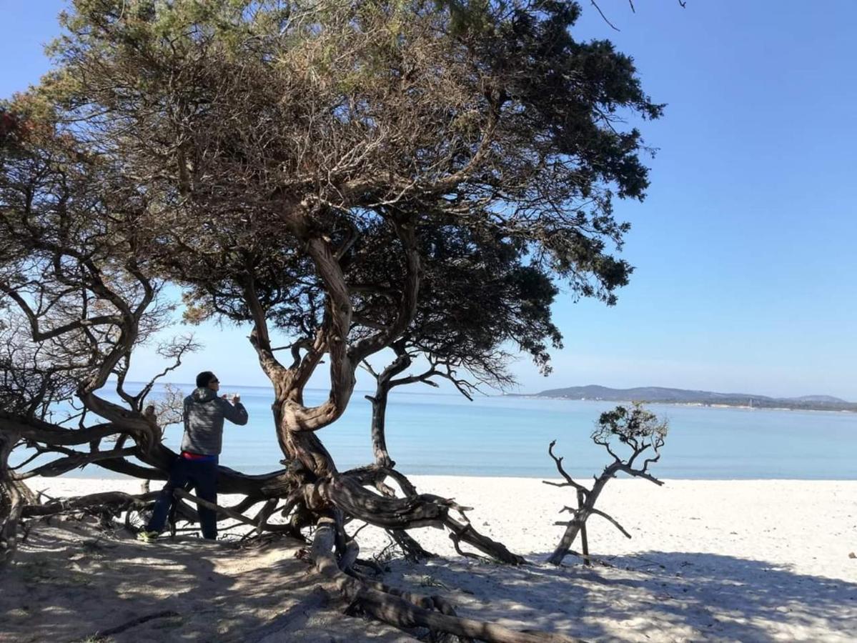 L'Anfora Acomodação com café da manhã Alghero Exterior foto
