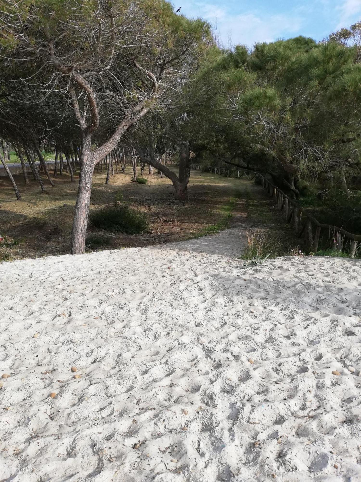 L'Anfora Acomodação com café da manhã Alghero Quarto foto